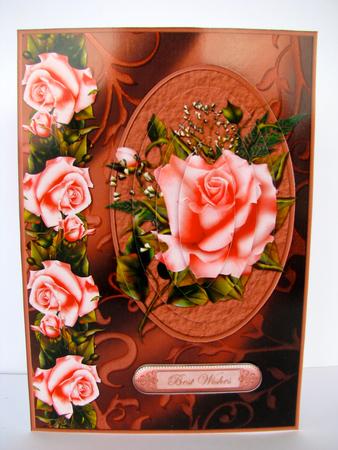 Beautiful Pink Rose with Babysbreath by Christine Pagan