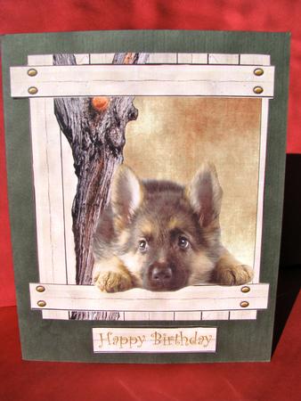Horse and Dog Toppers Multi Greetings by Christine Pagan