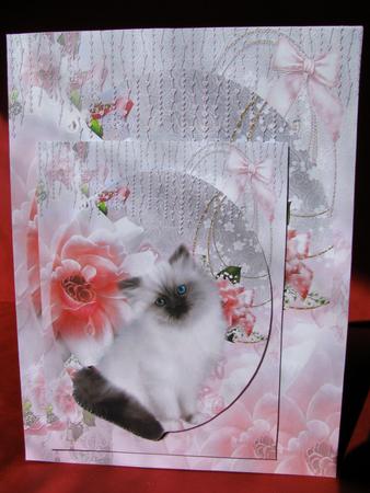 Kitten and Flowers Love Me Tender by Christine Pagan