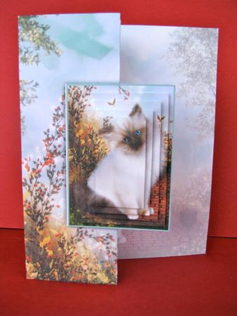 Graceful Kitten on the Terrace - Foldback Card by Christine Pagan