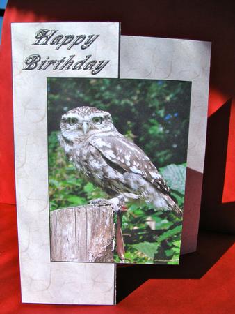 Little Owl Fold Back Sheet by Christine Pagan