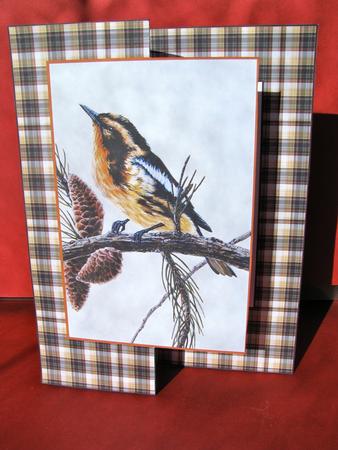 Bird with Fir Cones by Christine Pagan