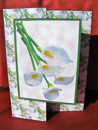 Cala Lilies Sympathy Fold Back by Christine Pagan