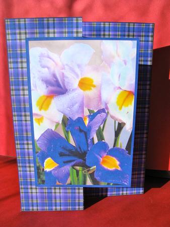 Irises Fold Back by Christine Pagan