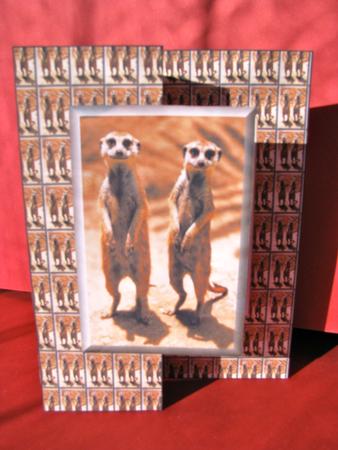 Meerkat Tiled Fold Back by Christine Pagan