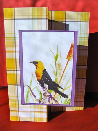 Yellow Songbird by Christine Pagan