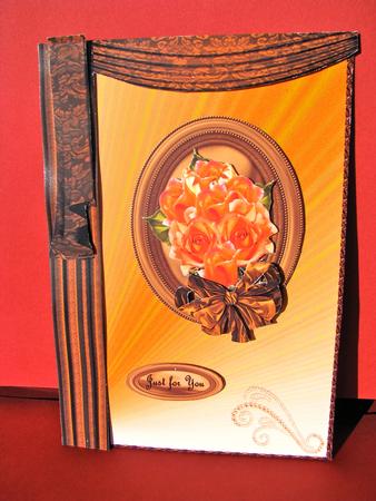 Bronze with Drapes by Christine Pagan