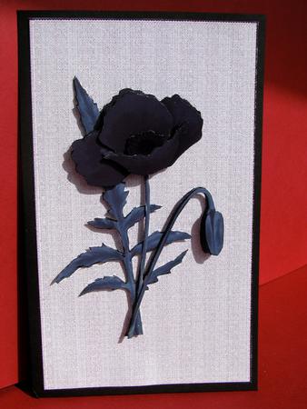 Monochromatic Poppy by Christine Pagan