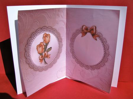 Roses and Metallic Lace Matching Insert A5 Portrait by Christine Pagan