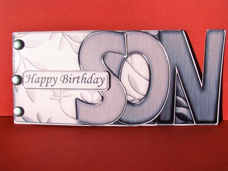 Son Elegant Metallic Book Sheet by Christine Pagan