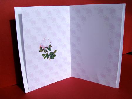 Two Halves of the Same Soul Insert by Christine Pagan