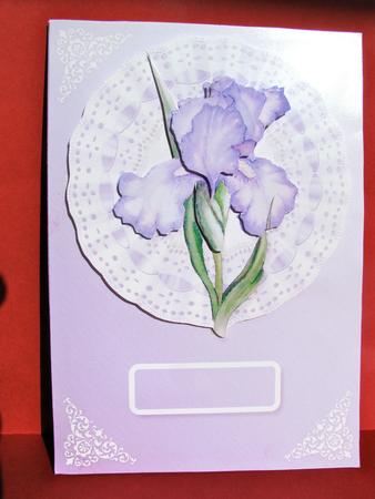 Iris on Lace Card Front by Christine Pagan