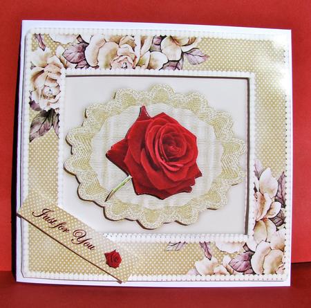 Framed Rose on Lace by Christine Pagan