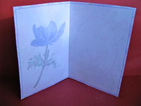 Purple Anemone Insert by Christine Pagan