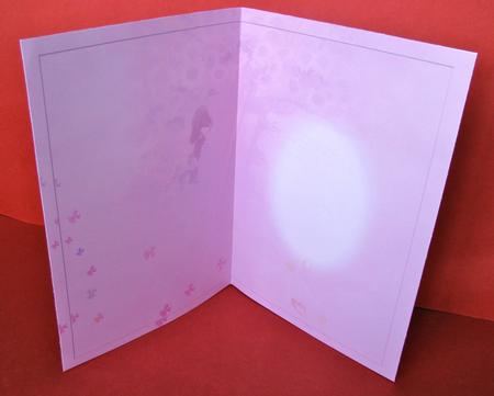 Pretty Wedding Insert by Christine Pagan