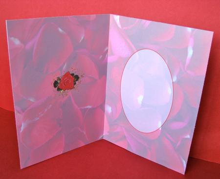 Red Rose Insert by Christine Pagan