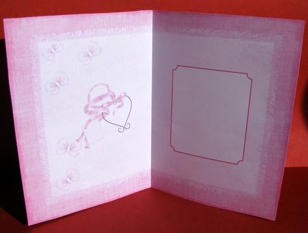 Pink Insert by Christine Pagan