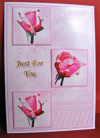 3 Pink Roses Just for You by Christine Pagan