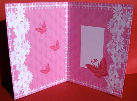 Pink Butterfly Insert by Christine Pagan