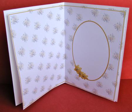 Lemon Lily Insert by Christine Pagan