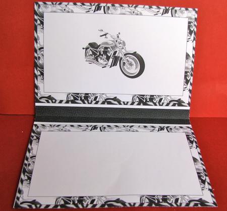 Silver Motorbike Insert by Christine Pagan