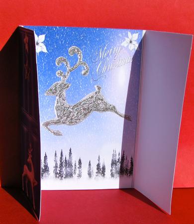 Gorgeous Little Reindeer Flying, Gatefold by Christine Pagan