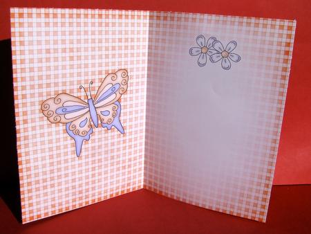 Fluttery Butterfly Insert A5 Portrait by Christine Pagan