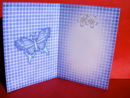 Fluttery Butterfly Insert A5 Portrait by Christine Pagan