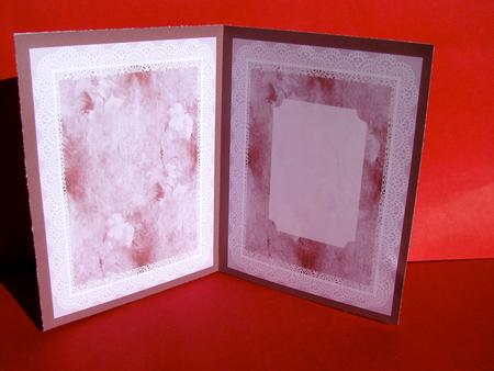 Lace Frame Insert by Christine Pagan