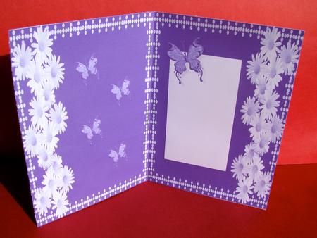 Purple Butterfly Insert 2 by Christine Pagan