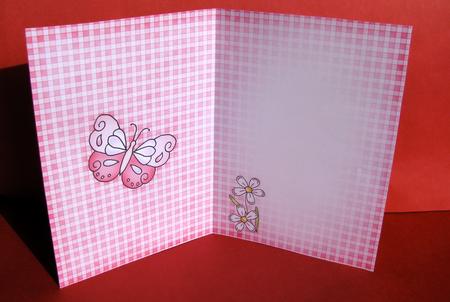 Fluttery Butterfly Insert A5 Portrait by Christine Pagan