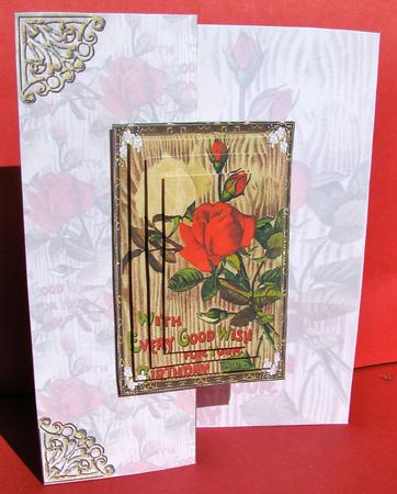 A White and Red Rose for You by Christine Pagan