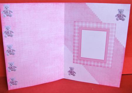 Pink Teddy Bear Insert by Christine Pagan