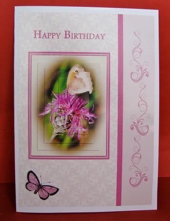 Butterfly on Mauve Flower by Christine Pagan