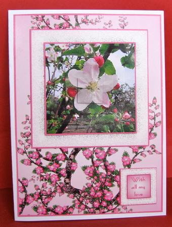 Blossom by Christine Pagan