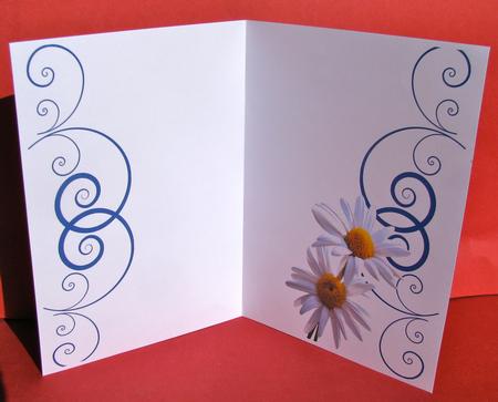 Insert with Blue Flourish and Daisies by Christine Pagan