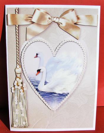 Chocolate Box Swans by Christine Pagan