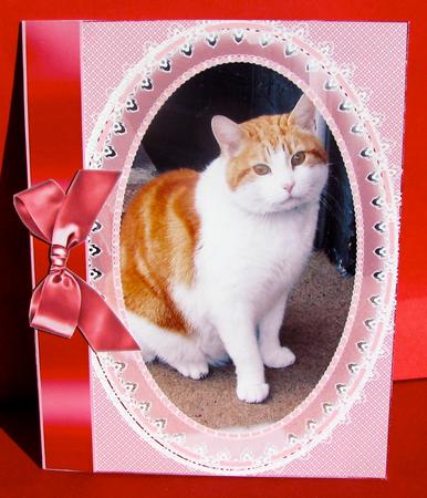 Cat in Oval Frame by Christine Pagan