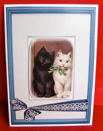 Black and White Kittens by Christine Pagan