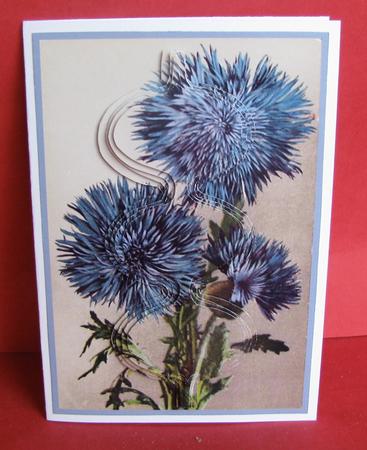Cornflowers Spherical by Christine Pagan