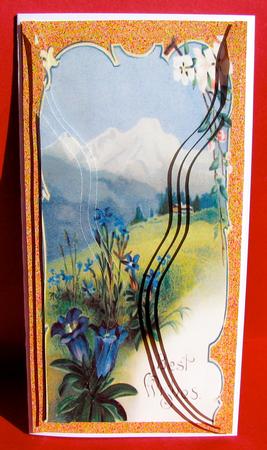 Mountain Views by Christine Pagan