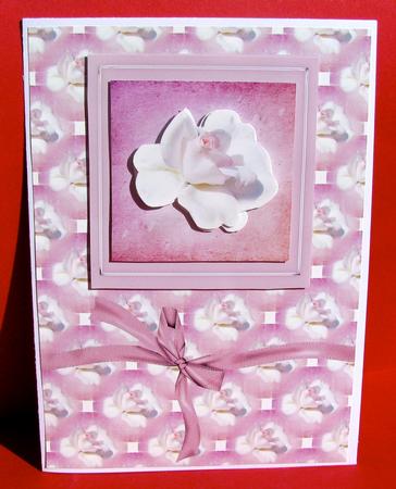 White Rose Card Front by Christine Pagan