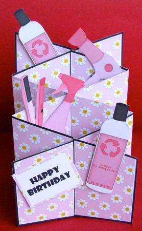 Hair Care Cascade Card Kit by Christine Pagan