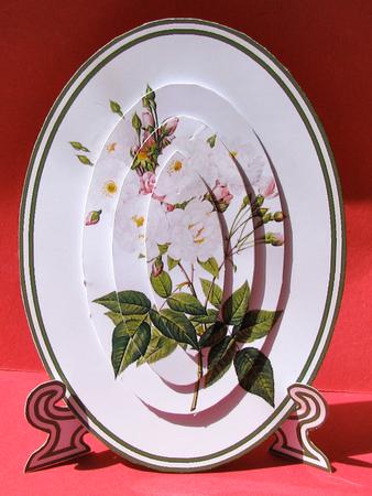 Gorgeous Wild Rose Plate Card Kit by Christine Pagan