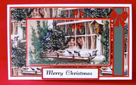 Christmas Window Birdwatchers by Christine Pagan