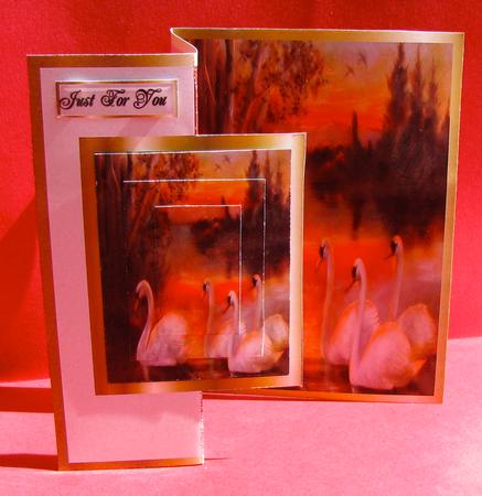 Swans Centre Fold Back by Christine Pagan