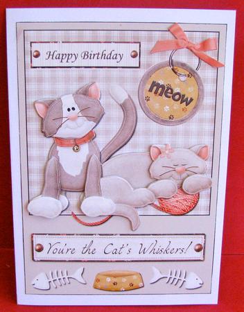 A5 Birthday Card Front You're the Cats Whiskers by Christine Pagan