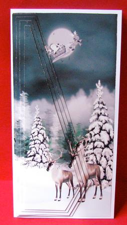 Santa Has Gone and Left Us by Christine Pagan