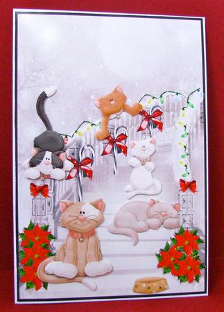 Cats Having Fun, Whoops One Needs Some Help! by Christine Pagan