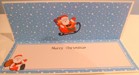 Large Dl Christmas Insert with Santa by Christine Simmonds